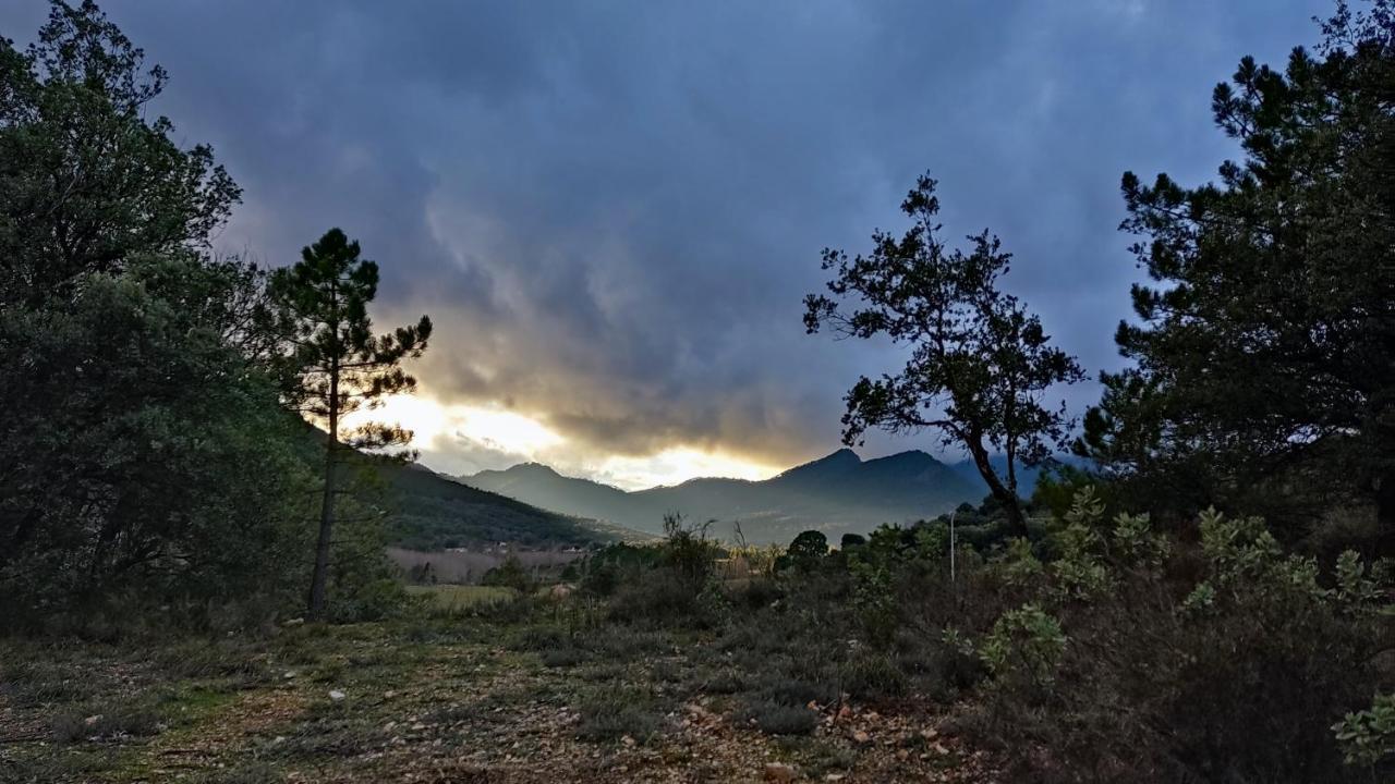 Cr La Carrasca Villa Riópar Екстериор снимка